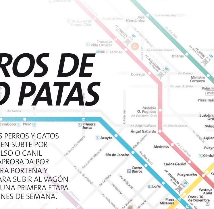 Pasajeros de cuatro patas