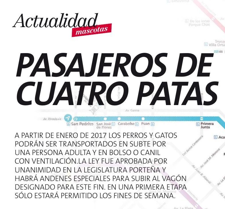 Pasajeros de cuatro patas - imagen 2