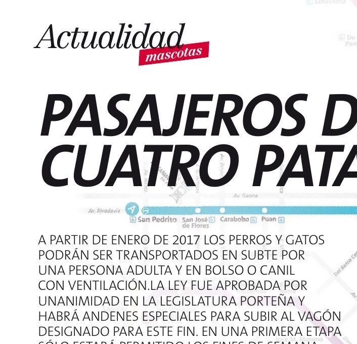 Pasajeros de cuatro patas - imagen 4