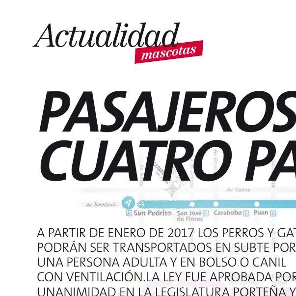Pasajeros de cuatro patas - imagen 5