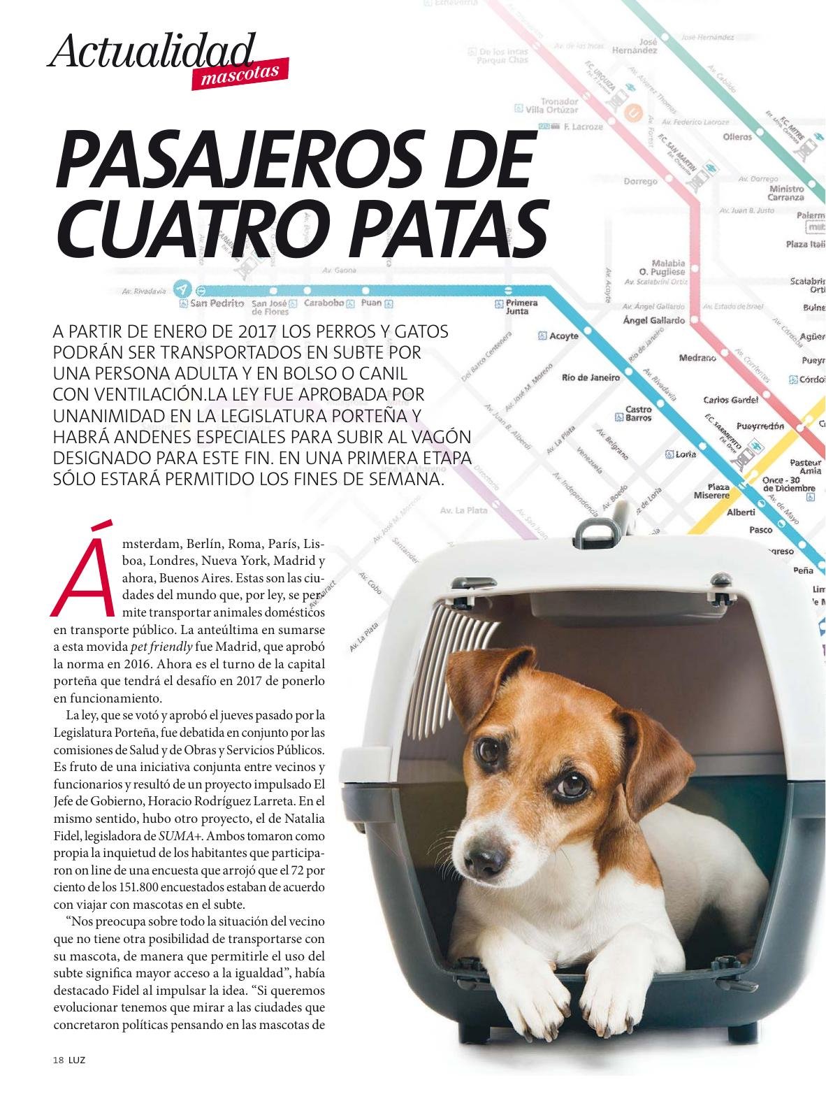Pasajeros de cuatro patas - página impresa 1