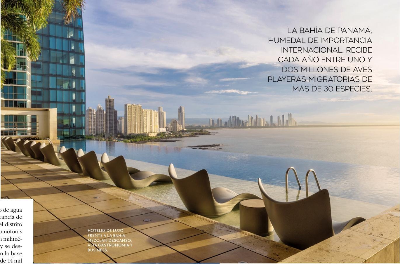 Ciudad de Panamá: entre la selva y los rascacielos